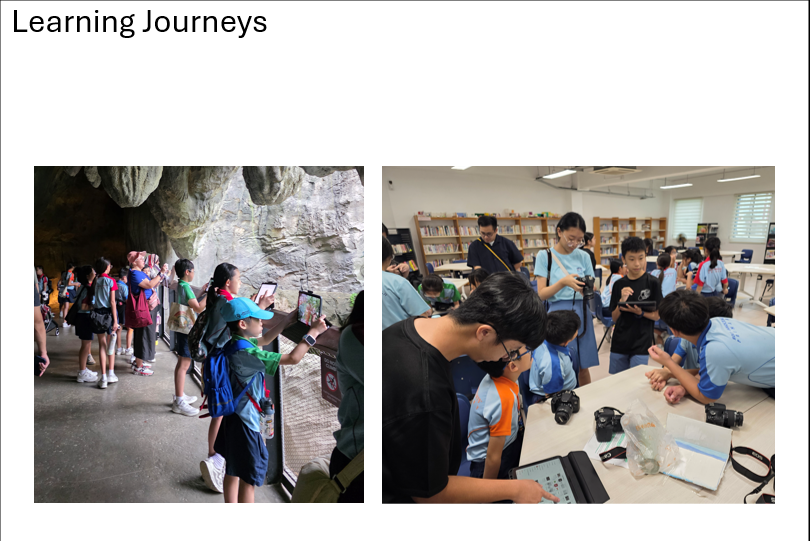 Learning journey